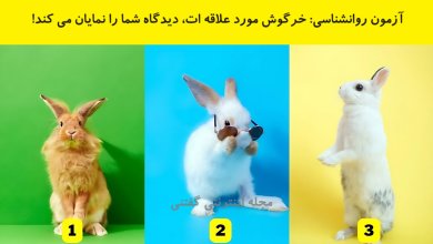 آزمون روانشناسی دیدگاه با انتخاب خرگوش