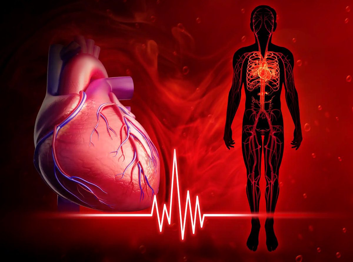 بهترین نوشیدنی برای قلب 1