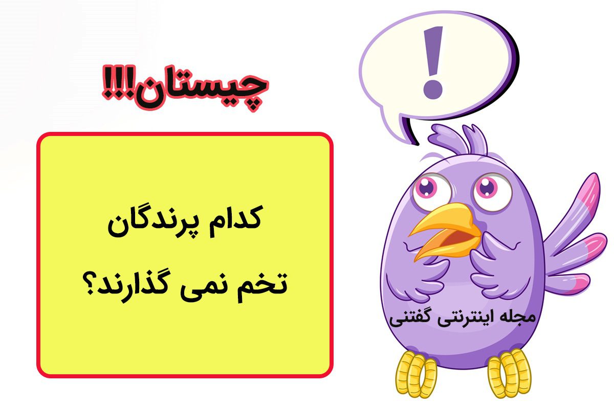 چیستان مخصوص نوابغ 1