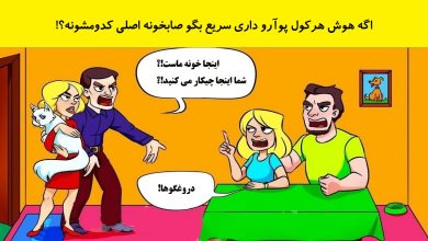 بازی فکری شناسایی صاحب خانه واقعی 1