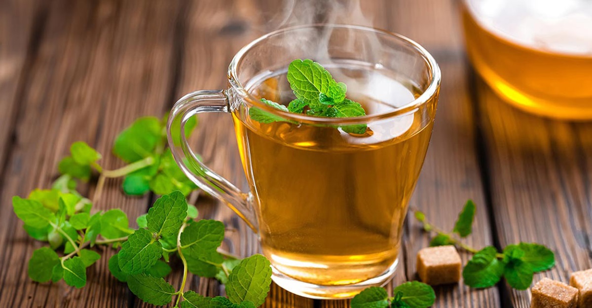 روش صحیح مصرف چای سبز برای لاغری 3