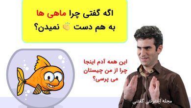 معما به سبک حبیب