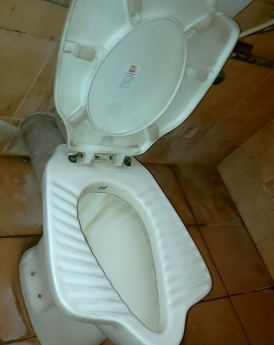 پیوند توالت ایرانی با فرنگی 1