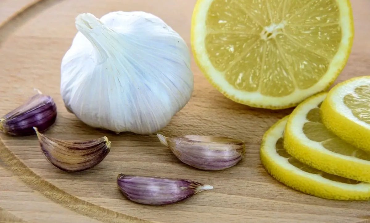 سیر و لیمو