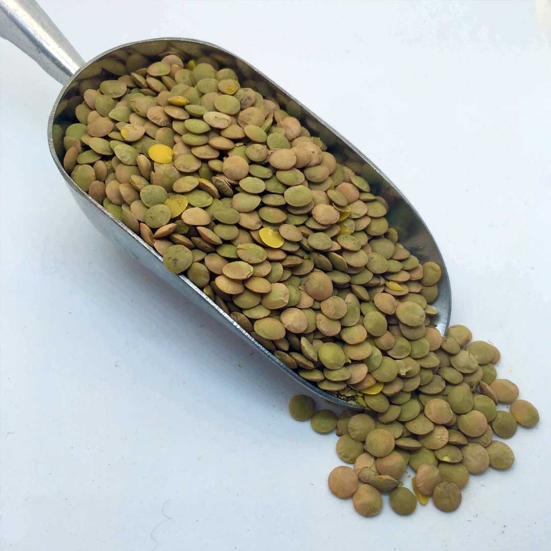 عدس 2