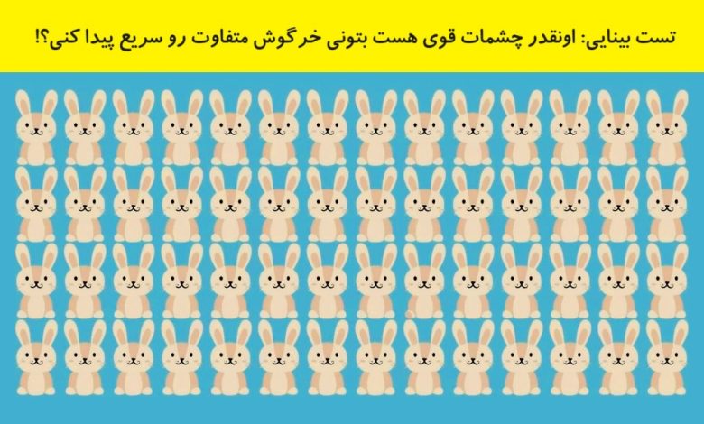 تست بینایی یافتن خرگوش متفاوت