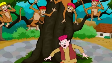 داستان آموزنده مرد کلاه فروش و میمون ها