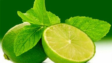 معایب خوردن لیمو ترش 1
