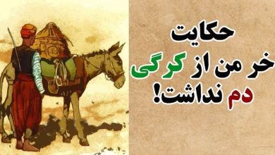 داستان خر ما از کرگی دم نداشت