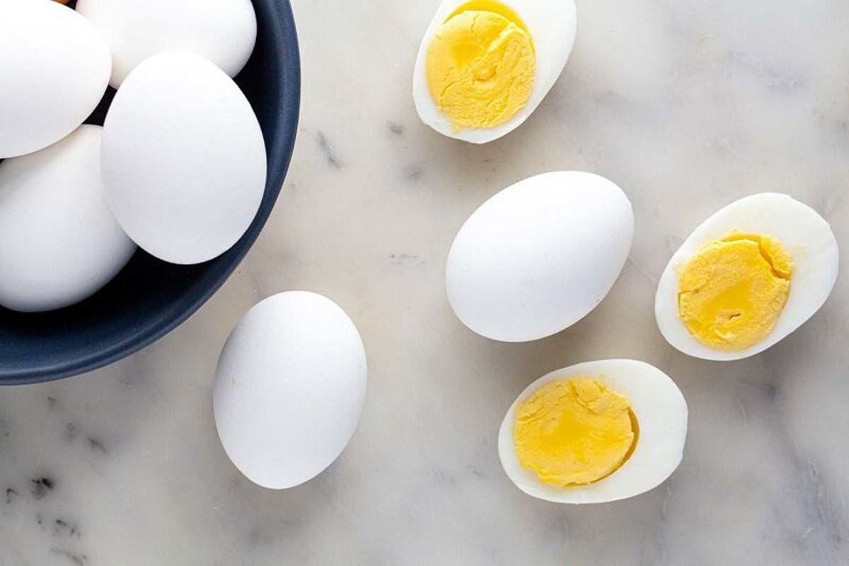کاهش وزن و عضله سازی با تخم مرغ 1