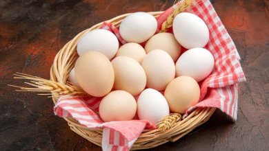 کاهش وزن و عضله سازی با تخم مرغ