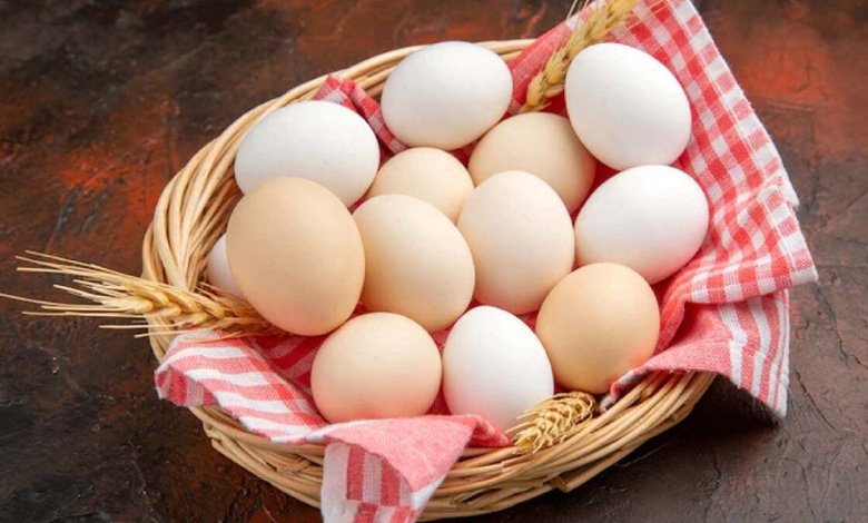 کاهش وزن و عضله سازی با تخم مرغ