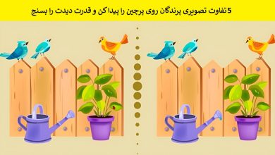 5 تفاوت تصویری پرندگان روی پرچین