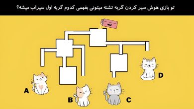 بازی هوش سیر کردن گربه تشنه 1