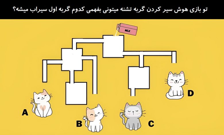 بازی هوش سیر کردن گربه تشنه 1