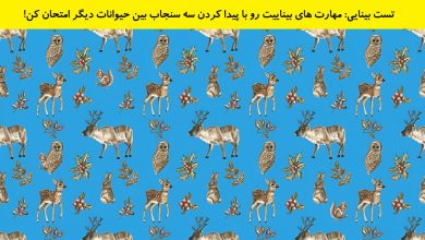 تست بینایی یافتن سه سنجاب