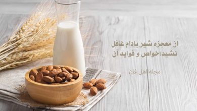 معجزه شیر بادام