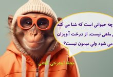 چیستان حیوان شناگر و آویزان درخت 1