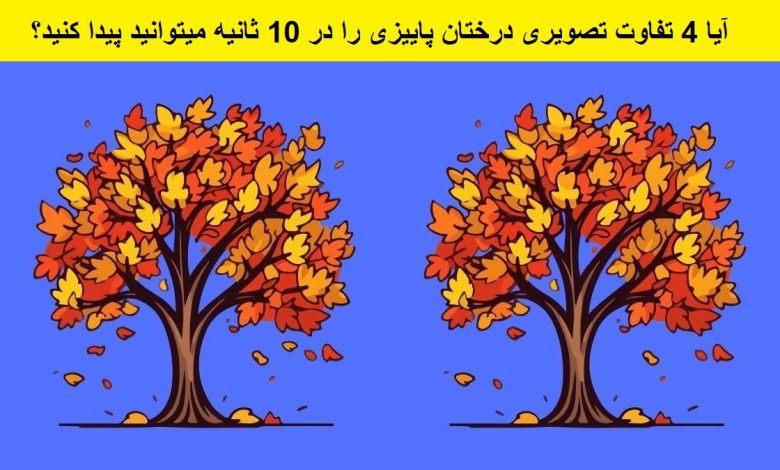 تفاوت تصویری درختان پاییزی 1