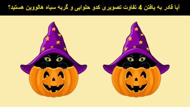 تفاوت تصویری کدو حلوایی و گربه سیاه 1