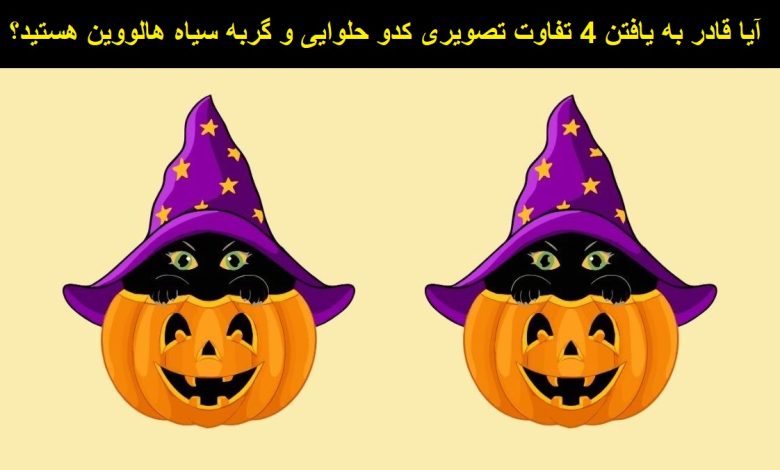 تفاوت تصویری کدو حلوایی و گربه سیاه 1