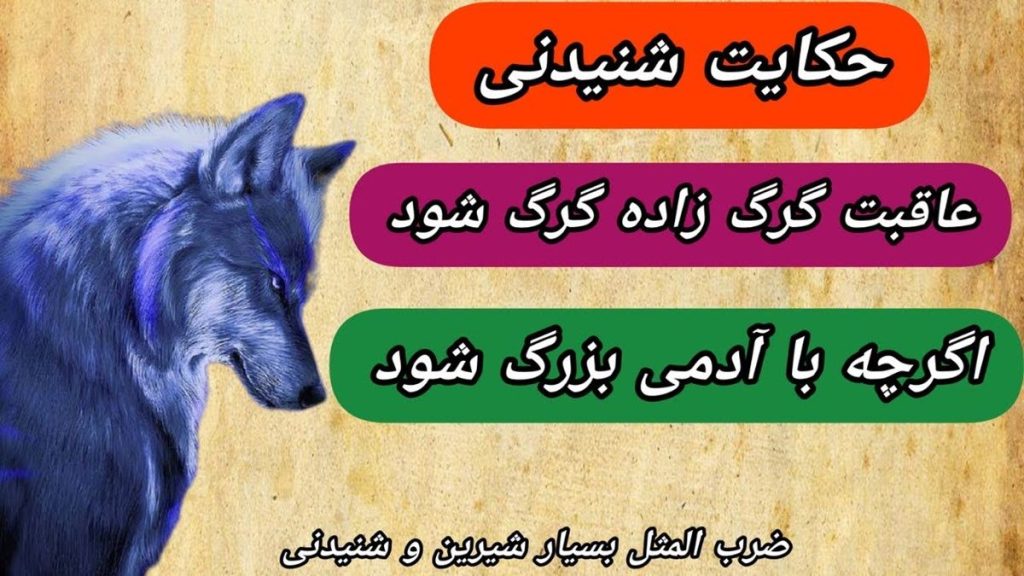 عاقبت گرگ‌ زاده گرگ می شود 1