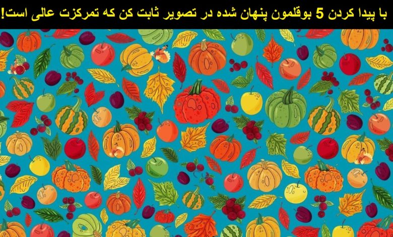 تست بینایی یافتن 5 بوقلمون پنهان 1