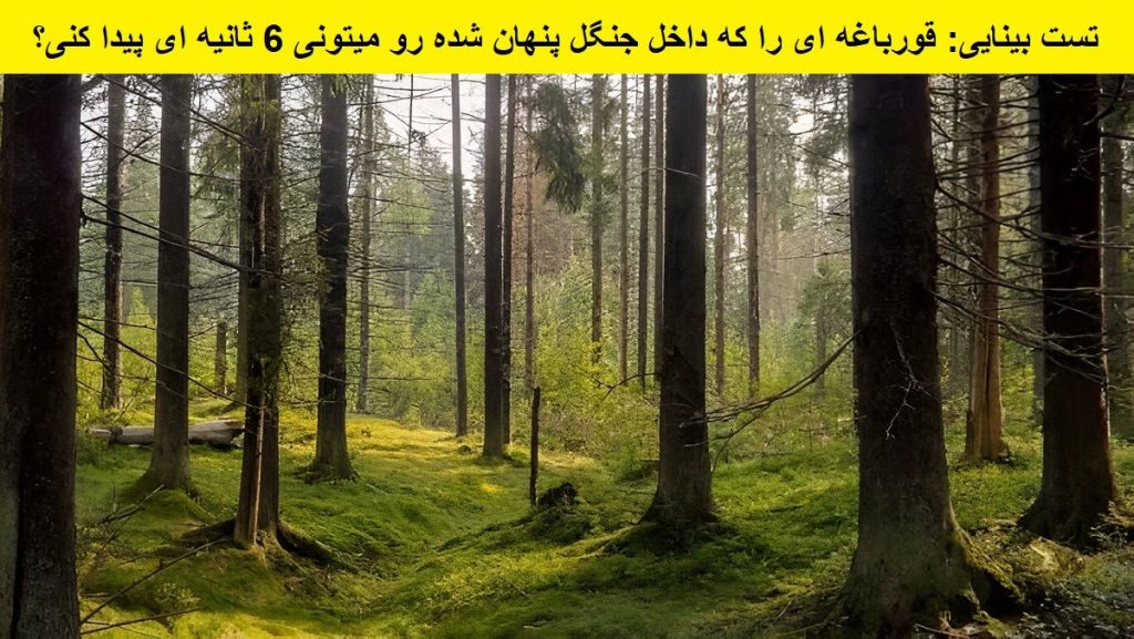 تست بینایی یافتن قورباغه در جنگل