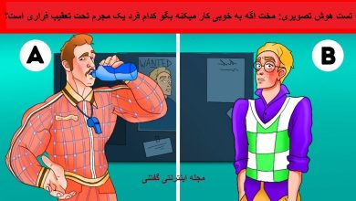 تست هوش تصویری جنایتکار تحت تعقیب 1