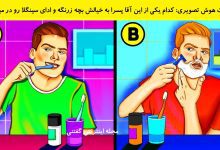 تست هوش تصویری پسر دارای شریک 1