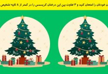 تفاوت تصویری درختان کریسمس 1