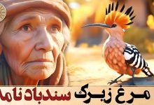 حکایت مرغ زیرک