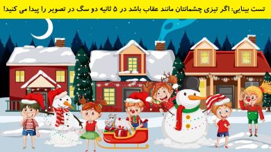 تست بینایی یافتن دو سگ در دهکده 1