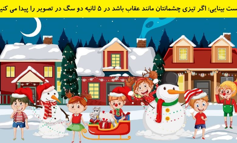 تست بینایی یافتن دو سگ در دهکده 1