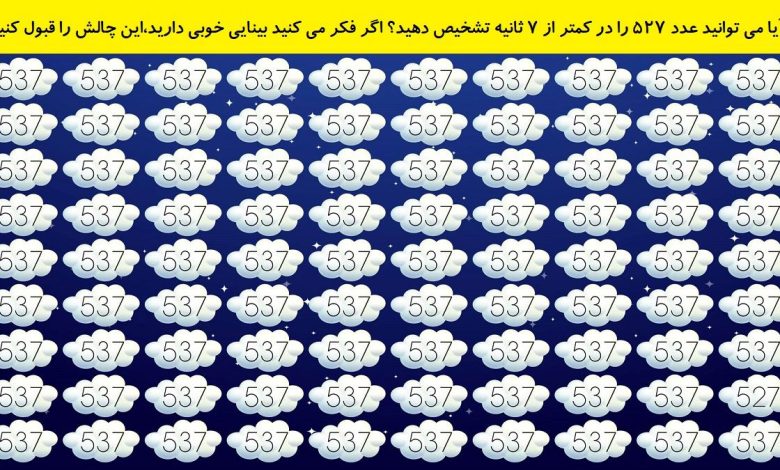 تست بینایی یافتن عدد 527-1