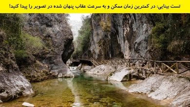 تست بینایی یافتن عقاب پنهان شده 1