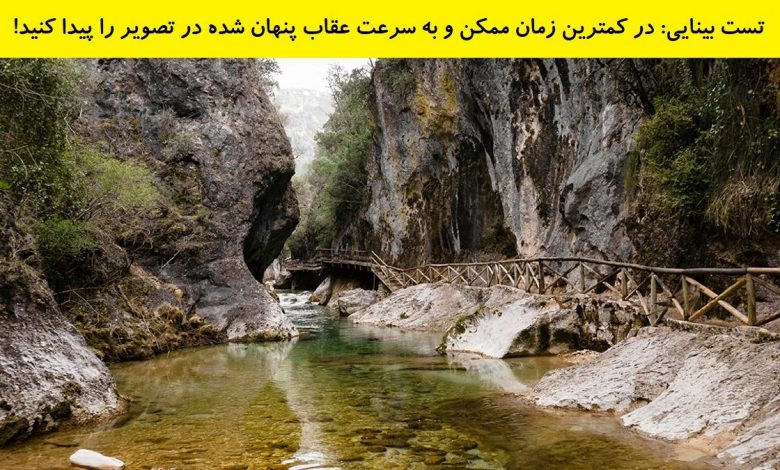 تست بینایی یافتن عقاب پنهان شده 1