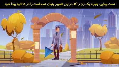 تست بینایی یافتن چهره یک زن 1