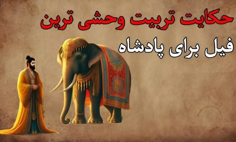 حکایت شاه و فیل وحشی