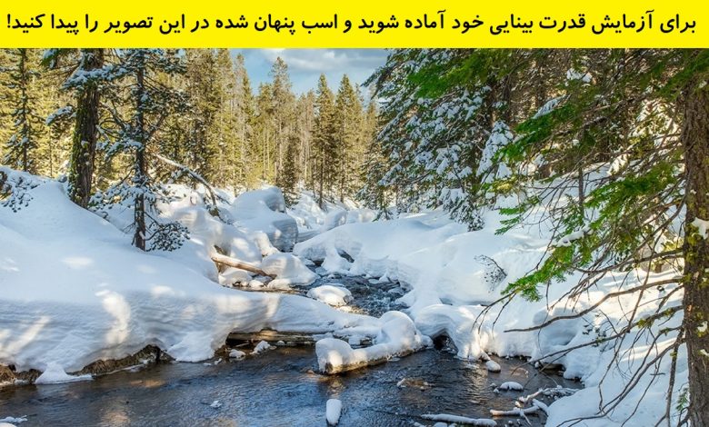 تست بینایی یافتن اسب پنهان در برف 1