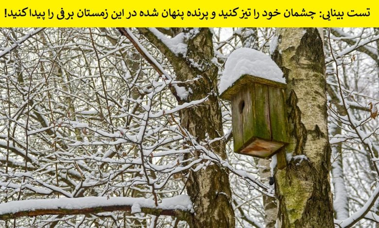 تست بینایی یافتن پرنده در نمای برفی 1