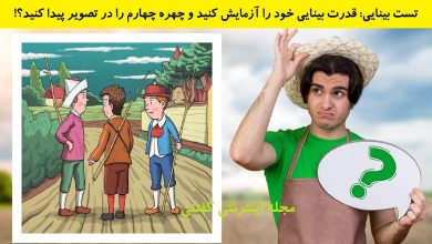 تست بینایی یافتن چهره پنهان چهارم 1