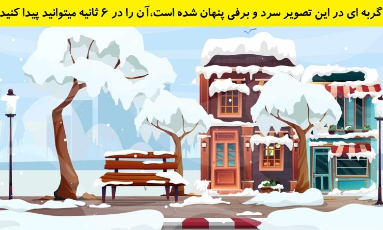 تست بینایی یافتن گربه در زمستان برفی 1