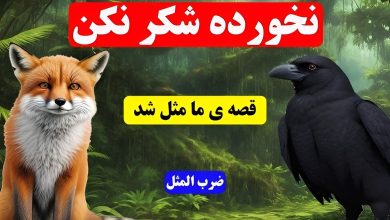 حکایت ناخورده شکر نکن