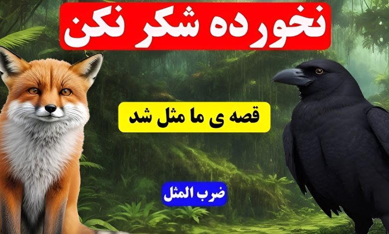 حکایت ناخورده شکر نکن