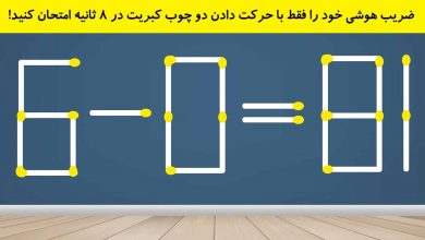 چالش هوش چوب کبریت با دو حرکت 1