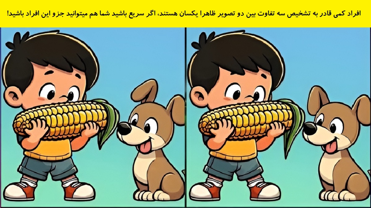 تفاوت تصویری پسر ذرت به دست