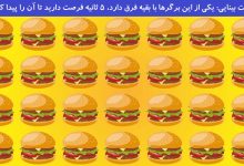 تست بینایی یافتن برگر متفاوت 1