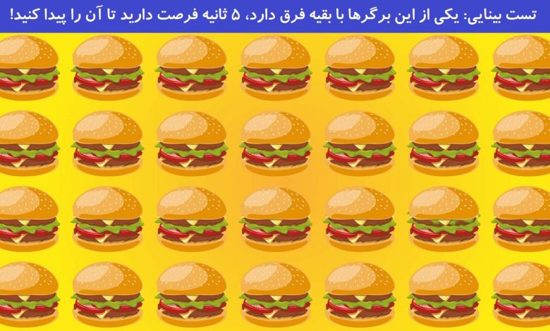 تست بینایی یافتن برگر متفاوت 1