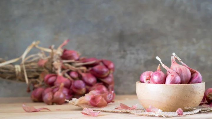 Shallot